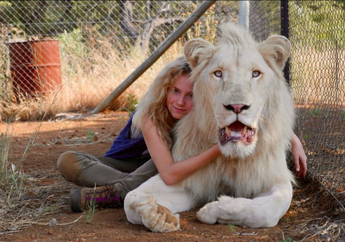 Mia and the White Lion, Film Persahabatan Manusia dan Singa Putih