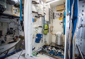 Rahasia Astronaut Buang Air Besar di Ruang Angkasa Tanpa Gravitasi