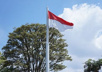 Tak Hanya Indonesia, Bendera 7 Negara Ini Juga Warna Merah dan Putih