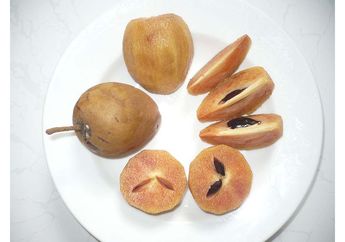 Selain Manis, Ternyata Buah Sawo Punya Manfaat untuk Tubuh