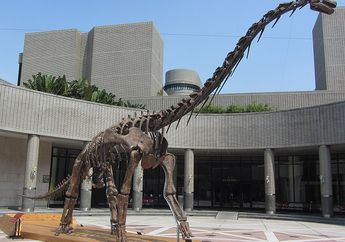 Mengapa Dinosaurus di Masa Pra-Sejarah Banyak yang Berukuran Besar?