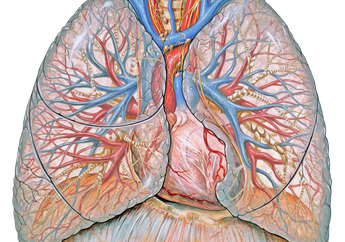 Mengenal Cystic Fibrosis, Gangguan Kesehatan Paru-Paru dan Pencernaan