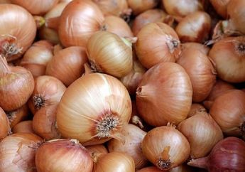 Namanya Bawang Bombai, Apakah Memang Berasal dari Kota di India?