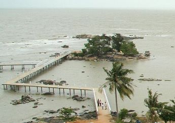 Wah, Pulau Terkecil di Dunia Ada di Indonesia, lo! Bisa Tebak di Mana?