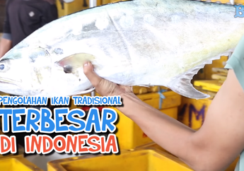 Wah, Di Jakarta Ada Tempat Pengolahan Ikan Terbesar di Indonesia!