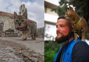 Petualangan Seekor Kucing Keliling Dunia Bersama Seorang Pesepeda