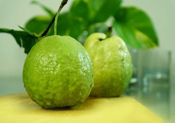 Benarkah Makan Jambu Biji Membuat Usus Buntu? Inilah Mitos dan Fakta Buah