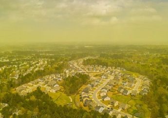 Serangan Serbuk Sari Membuat Carolina Utara Berubah Menjadi Kuning