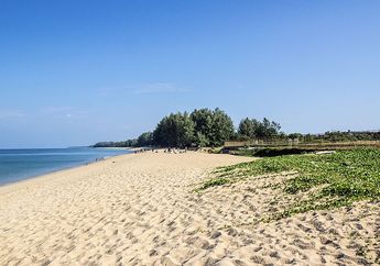 Gawat, Lakukan Swafoto di Pantai Ini Bisa Dapat Hukuman, Apa Sebabnya?