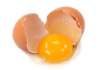 Mengapa Ada Telur Ayam yang Menetas dan Ada Telur Ayam yang Dimakan?