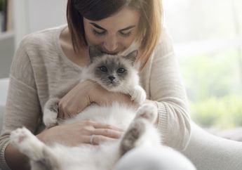 5 Hal yang Sering Kita Lakukan Ini Ternyata Tidak Disukai Kucing