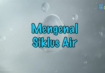 Sumber Air Bersih Mulai Berkurang, Cari Tahu Tentang Siklus Air, yuk!