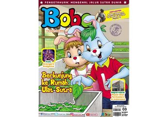 Mengenal Ulat Sutra yang Ada di Majalah Bobo Edisi 03, yuk!