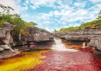 Keren, Sungai Cano Cristales Punya Lima Warna, Apa Sebabnya, ya?