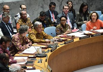 Bangga, Batik Dipakai Anggota Dewan Keamanan PBB pada Sidang di New York