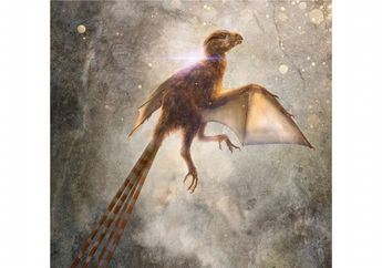 Peneliti Temukan Dinosaurus Bersayap Kelelawar Berusia 163 Juta Tahun