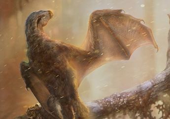 Wah, Spesies Dinosaurus Bersayap Kelelawar Kembali Ditemukan