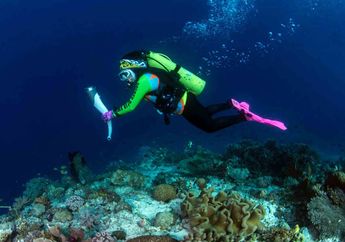 Ini 5 Lokasi Diving Terbaik di Indonesia, Pernah Berkunjung?