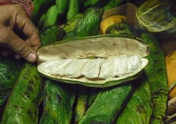 Kacang Ini Rasanya Seperti Es Krim Vanila, Pernah Coba?