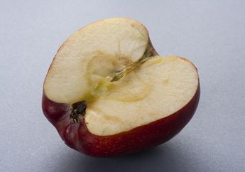 Lakukan 3 Hal Ini agar Buah yang Sudah Dipotong Tidak Berubah Warna