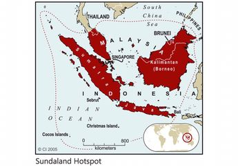 Wah, Ternyata Dulu Kalimantan, Sumatera, Jawa, dan Filipina Satu Pulau