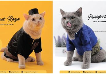 Kucing Juga Bisa Ikut Merayakan Lebaran dengan Baju Hari Raya Khusus Ini, lo!
