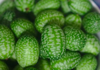 Cucamelon, Buah yang Ukurannya Kecil Tapi Termasuk Superfood