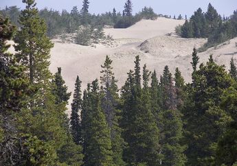 Kebalikan dari Gurun Sahara, Ini Gurun Pasir Terkecil di Dunia