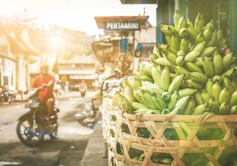 Terasa Pahit, Pisang yang Masih Hijau Baik untuk Tubuh Tidak, ya?