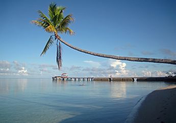 Wah, Ternyata Nama Taman Nasional Wakatobi Itu Singkatan, lo!