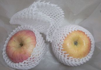 Jangan Dibuang, Jaring Pembungkus Buah Bisa Dimanfaatkan, lo!