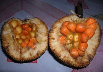 Keledang, Buah Langka Kalimantan yang Rasanya Mirip Nangka dan Manggis