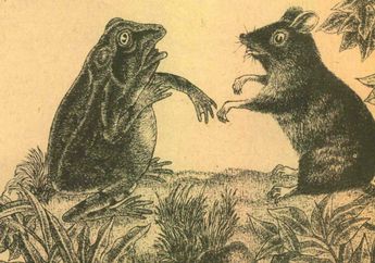 Dongeng Anak: Mengapa Tikus dan katak Bermusuhan