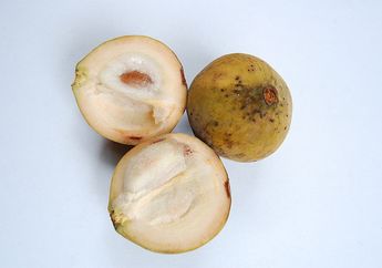 Jadi Tanaman Kebanggan Orang Betawi, Kenalan dengan Kecapi, yuk!