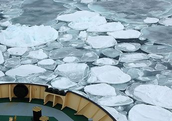 Bukan Dessert, Pancake Ice Sering Muncul di Laut Saat Musim Dingin