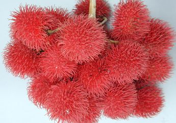 Buah-Buahan yang Dianggap Unik Ini Asli Asia Tenggara, lo! Pernah Coba?