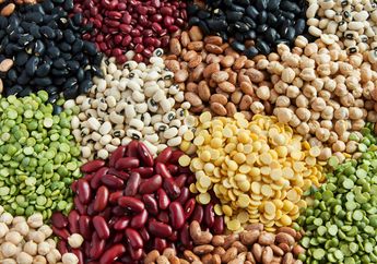 Ada Banyak Jenisnya, Ini 6 Jenis Kacang yang Baik untuk Dikonsumsi