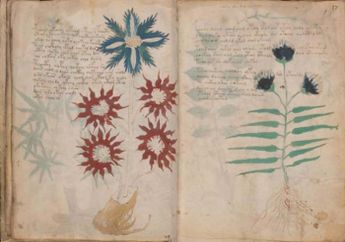 Naskah Voynich, Buku Misterius yang Tidak Dimengerti, Apa Isinya, ya? #AkuBacaAkuTahu