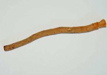 Siwak, Sikat Gigi Tradisional Sebelum Sikat Gigi Modern dan Pasta Gigi
