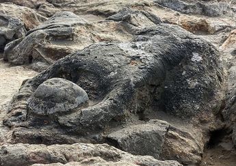 Batu Malin Kundang di Pantai Aia Manih, Benarkah Merupakan Batu dari Cerita Rakyat Malin Kundang?
