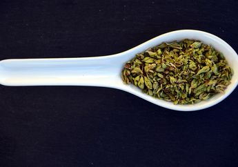 Biasa Ditemukan di Masakan Italia, Cari Tahu Tentang Oregano, yuk!