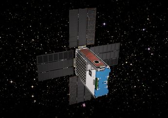 NASA Akan Kirim Makhluk Hidup ke Orbit Matahari pada 2020, Apa Tujuannya?