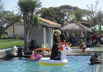 Senang Berenang? Coba, deh, Rasanya Berenang di Tengah Sawah Klaten
