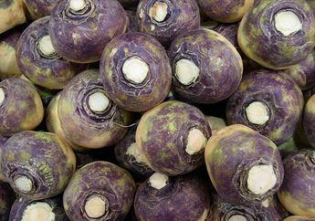 Rutabaga, Sayuran Hasil Persilangan dari Lobak dan Kol, Pernah Coba?