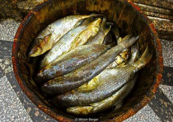 Meski Berbahaya, Makanan Ini Disukai Penduduk Mesir, lo! Pernah Tahu?