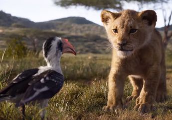 Mau Berwisata Safari ala Film Lion King? Yuk, Kunjungi 3 Tempat Ini!