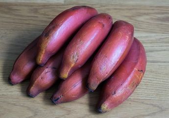 Tak Hanya Hijau dan Kuning, Pisang Ada yang Berwarna Merah Juga, lo! Pernah Coba?