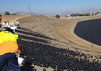 Ada 96 Juta Bola Plastik yang "Dibuang" ke Waduk di Los Angeles, Apa Fungsinya?