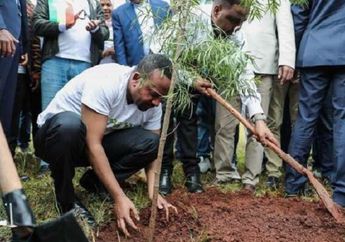 Wah, Etiopia Pecahkan Rekor Menanam 350 Juta Pohon! Apa Tujuannya?
