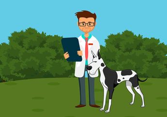Hampir Sama dengan Dokter Manusia, Kenalan dengan Dokter Hewan, yuk!